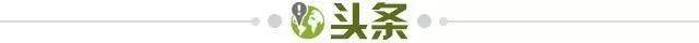 25e14759-0ba5-4d58-95de-f182115047f0.jpg@!img01